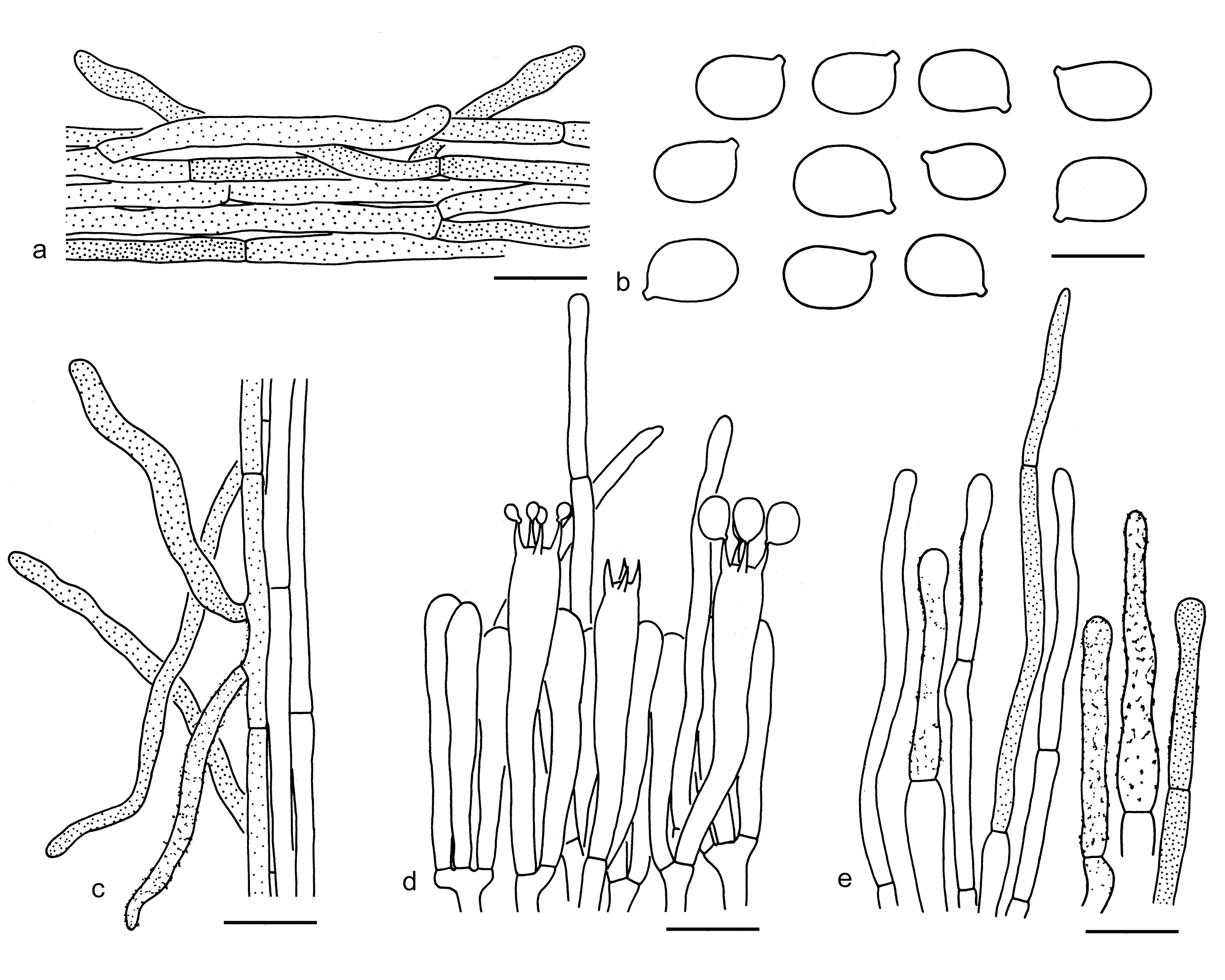 Figure 47